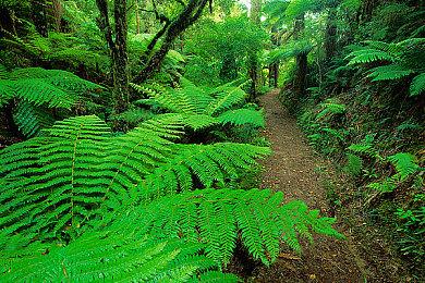 陶琳成为索尼首位女性CFO 曾主导收购Bungie